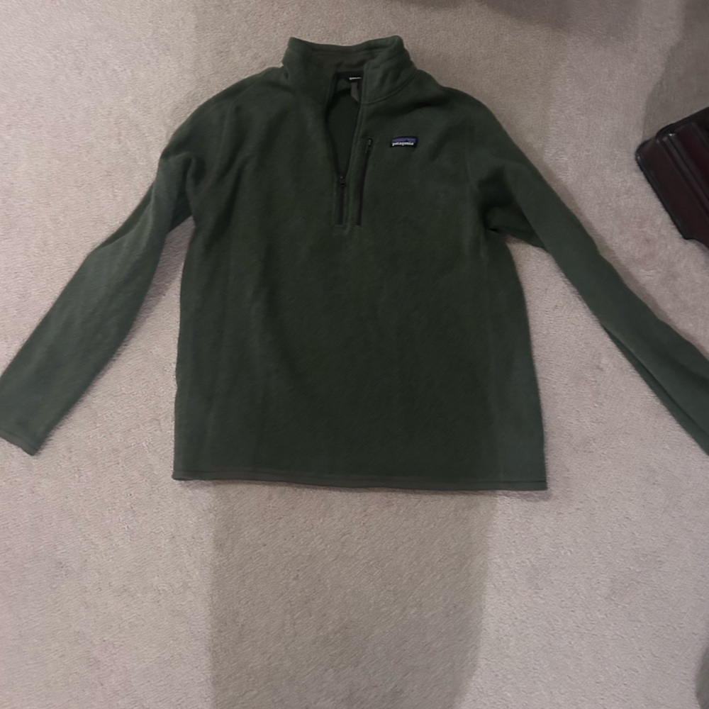 Patagonia, olive sweatshirt, size L